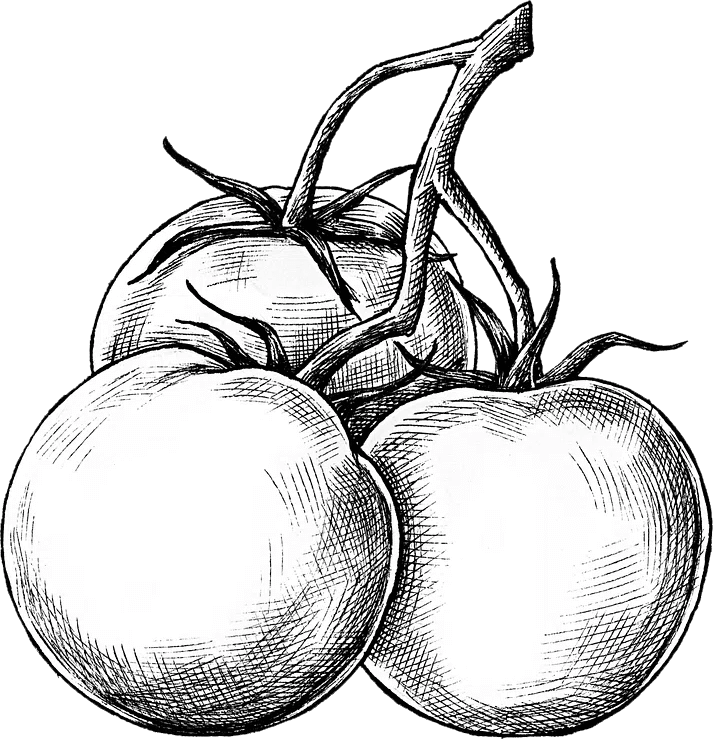 Cheese Products Image