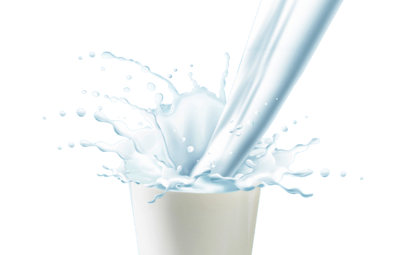 Dairy Farm Illustration